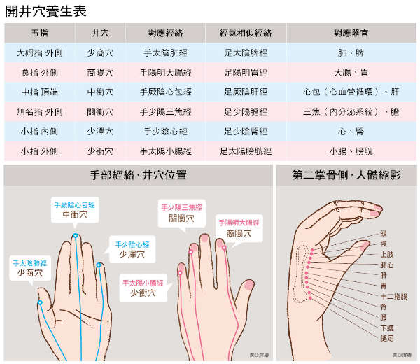 连接手指的六条经络及其相应经气为:大拇指的少商穴对应肺,脾;食指的