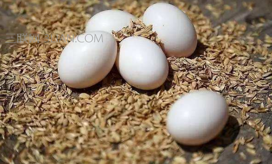 鸽子蛋怎么吃最有营养，什么人不能吃