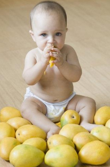 芒果有多少品种，哪种最好吃