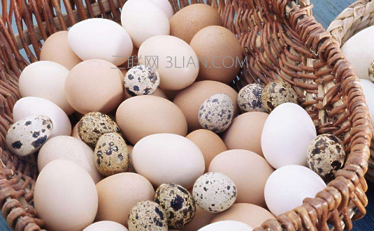 各种蛋类的营养价值对比及家常做法推荐