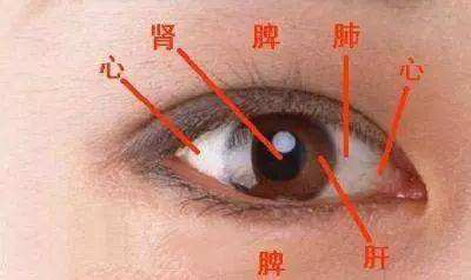 眼袋大是什么原因：消除眼袋知因便能迎刃而解