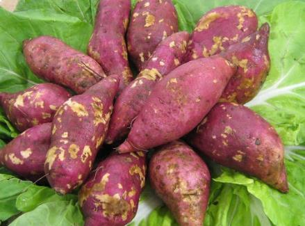 红薯的营养价值-红薯的功效与作用