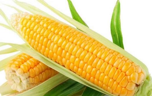 吃玉米可防高血糖 推荐2个玉米养生保健食谱