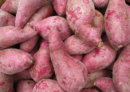 紫薯的营养价值-紫薯的功效与作用
