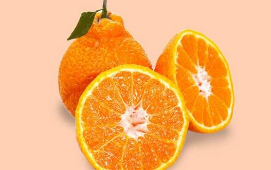 真的丑橘是咋样的