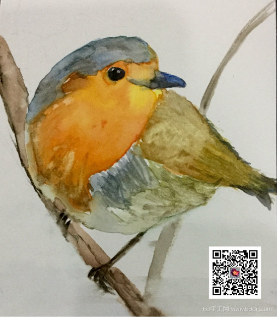 小鸟的画法 圣诞小鸟水彩画手绘教程