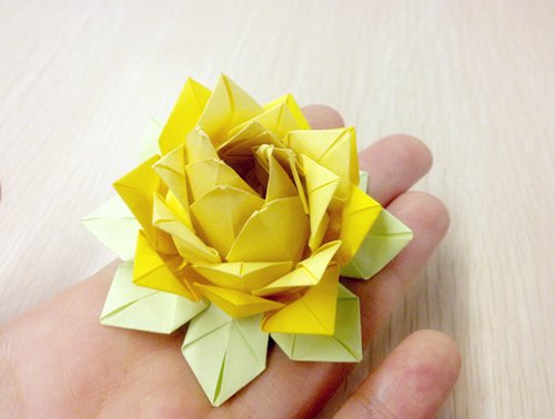 纸莲花的手工折纸方法 睡莲折纸教程