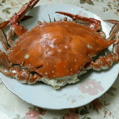 海螃蟹与河螃蟹有什么区别 海蟹什么时候最肥