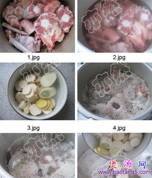 炖牛尾的做法_炖牛尾怎么做 炖牛尾的做法_炖牛尾怎么做
