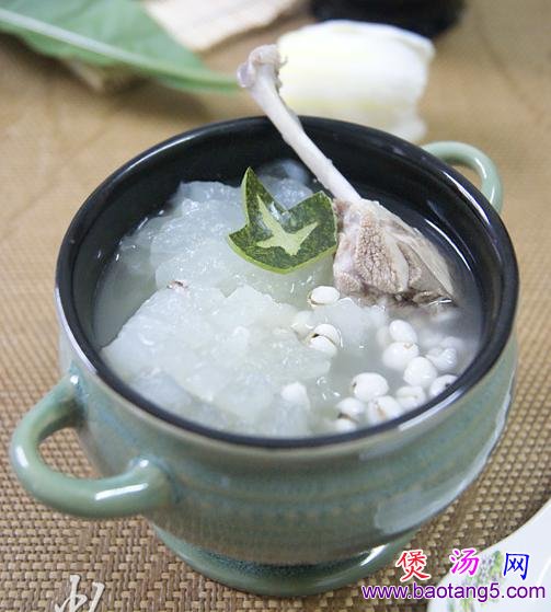 冬瓜薏米煲水鸭的做法_冬瓜薏米煲水鸭怎么做 冬瓜薏米煲水鸭的做法_冬瓜薏米煲水鸭怎么做
