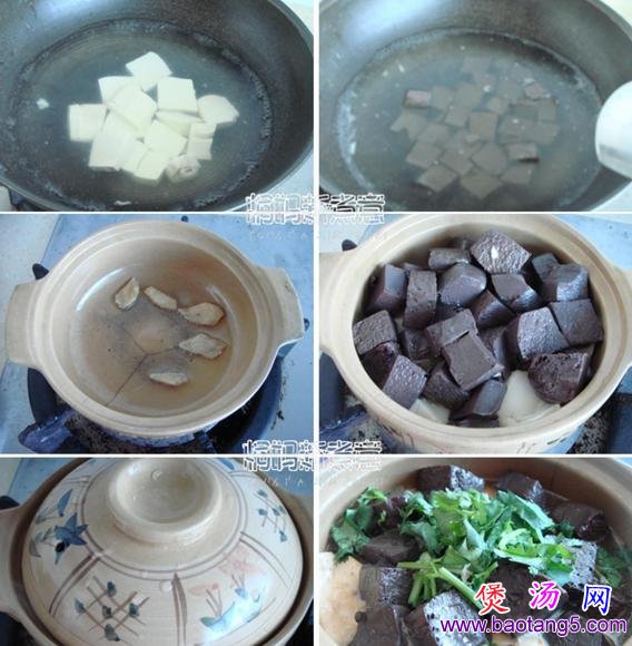 羊血豆腐煲的做法_羊血豆腐煲怎么做 羊血豆腐煲的做法_羊血豆腐煲怎么做