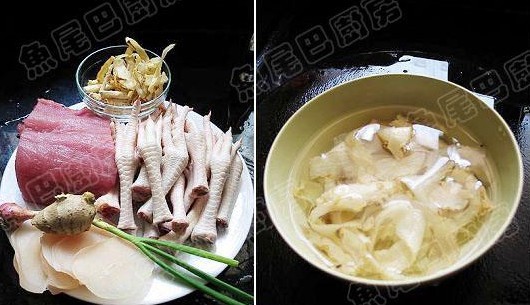 凤爪海螺瘦肉汤的做法_凤爪海螺瘦肉汤怎么做 凤爪海螺瘦肉汤的做法_凤爪海螺瘦肉汤怎么做
