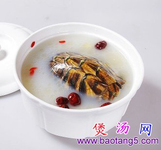 双耳甲鱼汤的做法_双耳甲鱼汤怎么做 双耳甲鱼汤的做法_双耳甲鱼汤怎么做