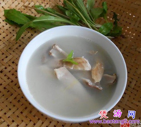 养胃靓汤猪肚汤的做法_养胃靓汤猪肚汤怎么做 养胃靓汤猪肚汤的做法_养胃靓汤猪肚汤怎么做