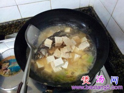 鲫鱼炖豆腐的做法,怎样做鲫鱼炖豆腐 鲫鱼炖豆腐的做法,怎样做鲫鱼炖豆腐