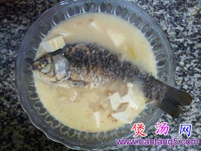 鲫鱼炖豆腐的做法,怎样做鲫鱼炖豆腐 鲫鱼炖豆腐的做法,怎样做鲫鱼炖豆腐