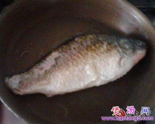 鲫鱼冬瓜汤的做法 鲫鱼冬瓜汤的做法