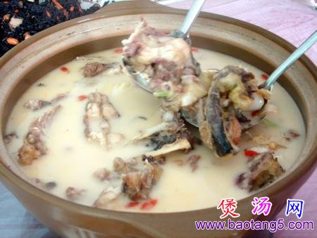 细嫩滑润鲶鱼汤 细嫩滑润鲶鱼汤