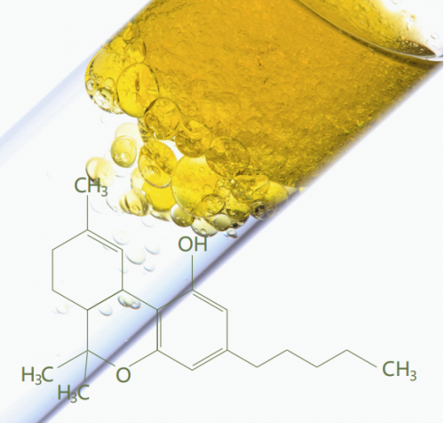 ´黤壬ħԴ̽CBD