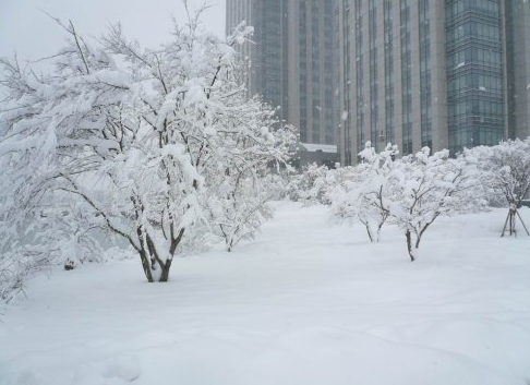 关于冬天的天气变化,即使是专家也很难预测明年的天气.