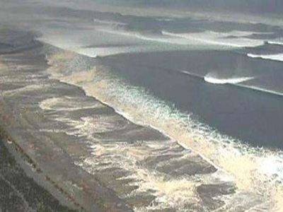 地震海啸的自救方法