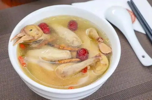 鸽子汤和鸡汤哪个更有营养