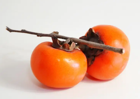 因此,据说切开的柿子中有小黑点,但在野生柿子的果实中仍然可以发现