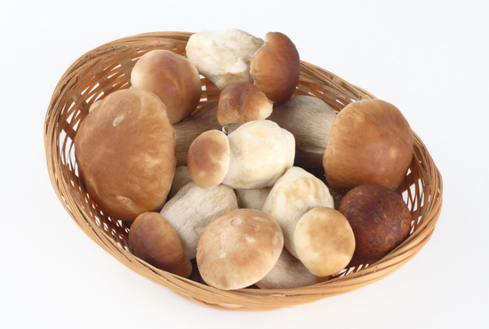 蘑菇可以放冰箱几天 新鲜蘑菇怎么保存不会坏