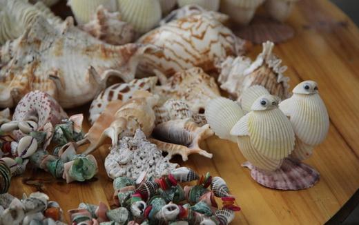 海口工艺品一条街贝壳图片