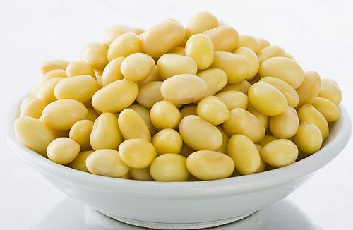 ˥˵ķ