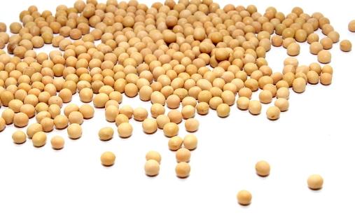 关于大豆营养的问答