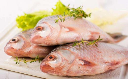 餐桌上常见的鱼肉都有哪些功效