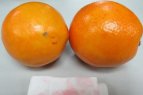 染色橙子危害健康 如何鉴别染色橙子