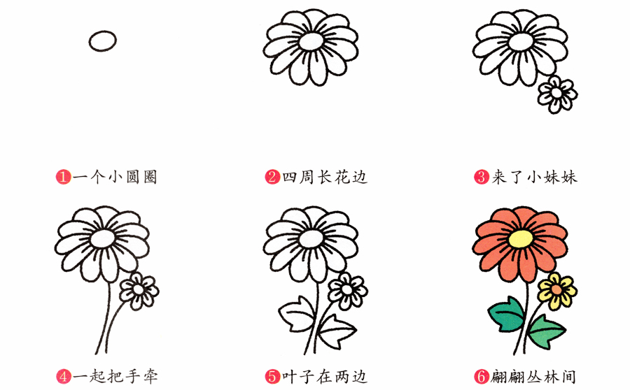 菊花花边图案简笔画图片