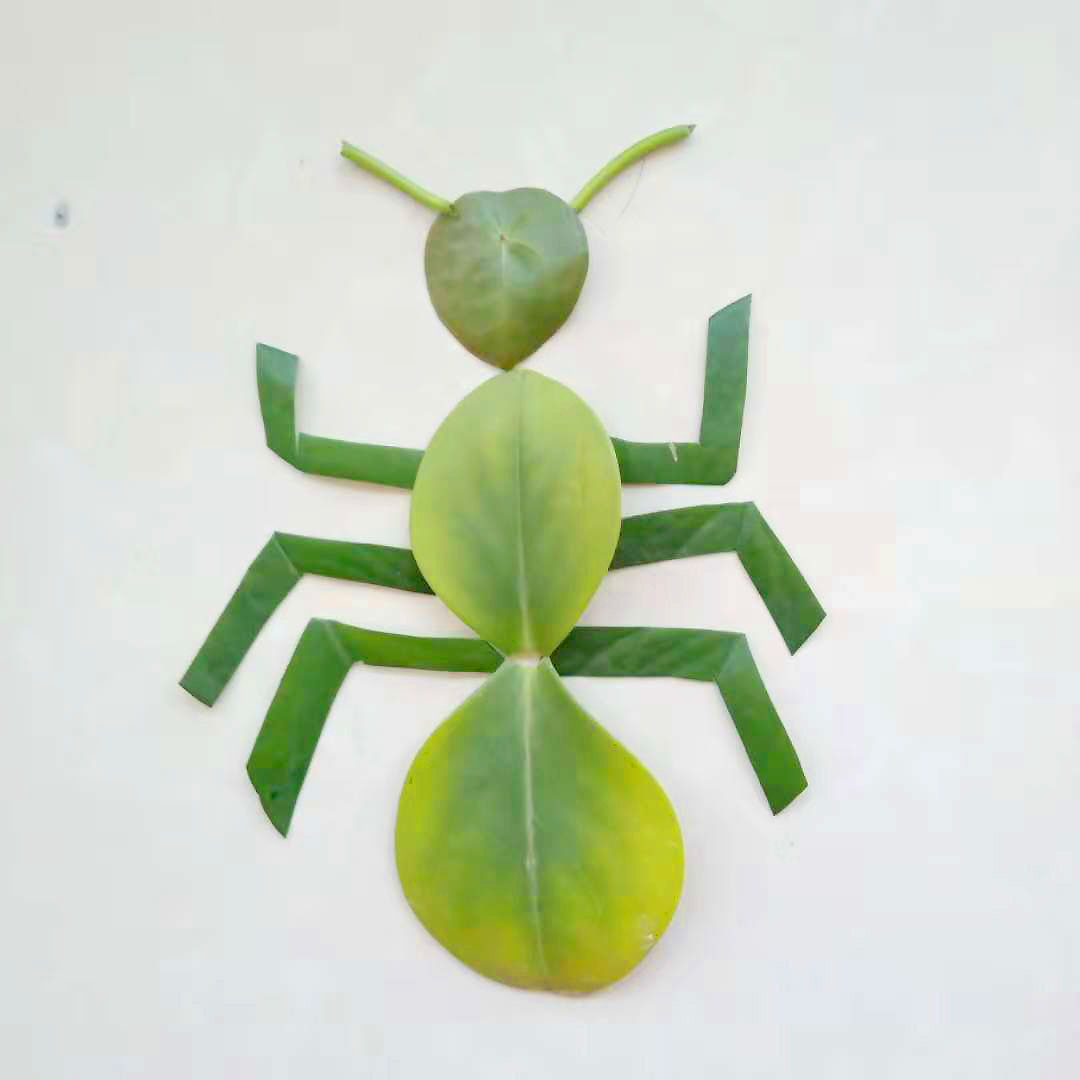 树叶做蚂蚁手工图图片