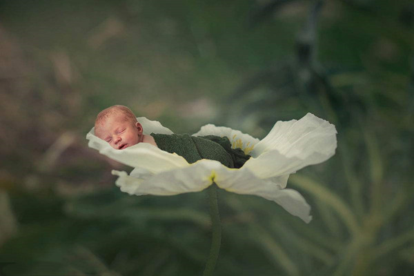 婴儿出生的唯美图片图片