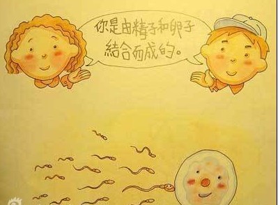 孩子问我是从哪里来的妈妈应该怎么回答