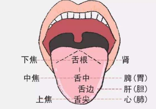 舌乳头炎怎么办图片