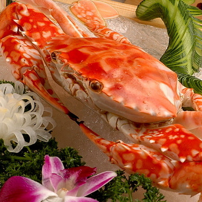 赤甲红海蟹产地图片