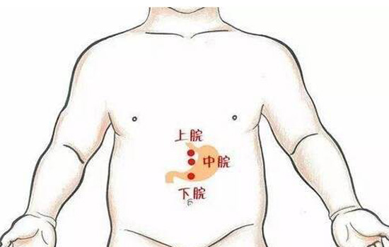 正确的胃部按摩图图片