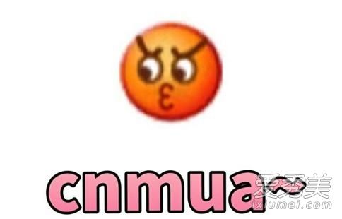 cnmuaʲô˼ cnmuaıȫ