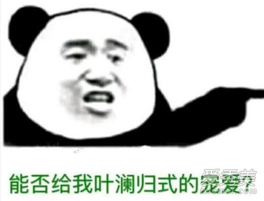 Ҷʽ谮ʲô˼ Ҷʽ谮