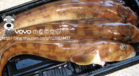 �����������_��������ô��