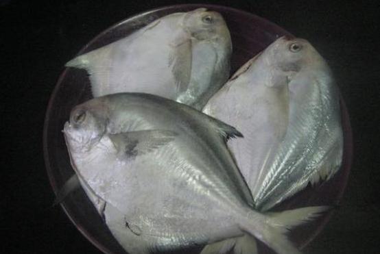 ��ଶ��������ҵ�����_��ଶ�����������ô��