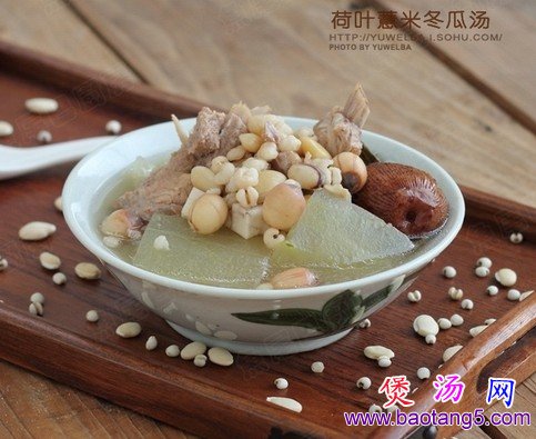 ��Ҷ޲�׶�����������_��Ҷ޲�׶�������ô��