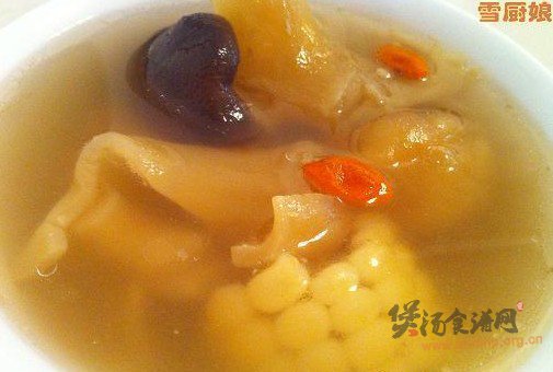 花胶煲汤的做法大全_花胶煲汤怎么做 花胶煲汤的做法大全_花胶煲汤怎么做