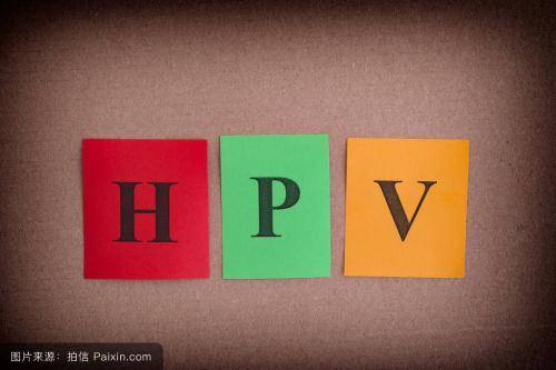 ¼ҶԿHPV·