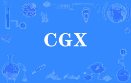 ϵġCGXʲô˼