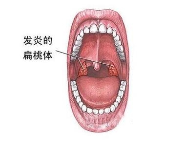 舌头长菜花图片图片