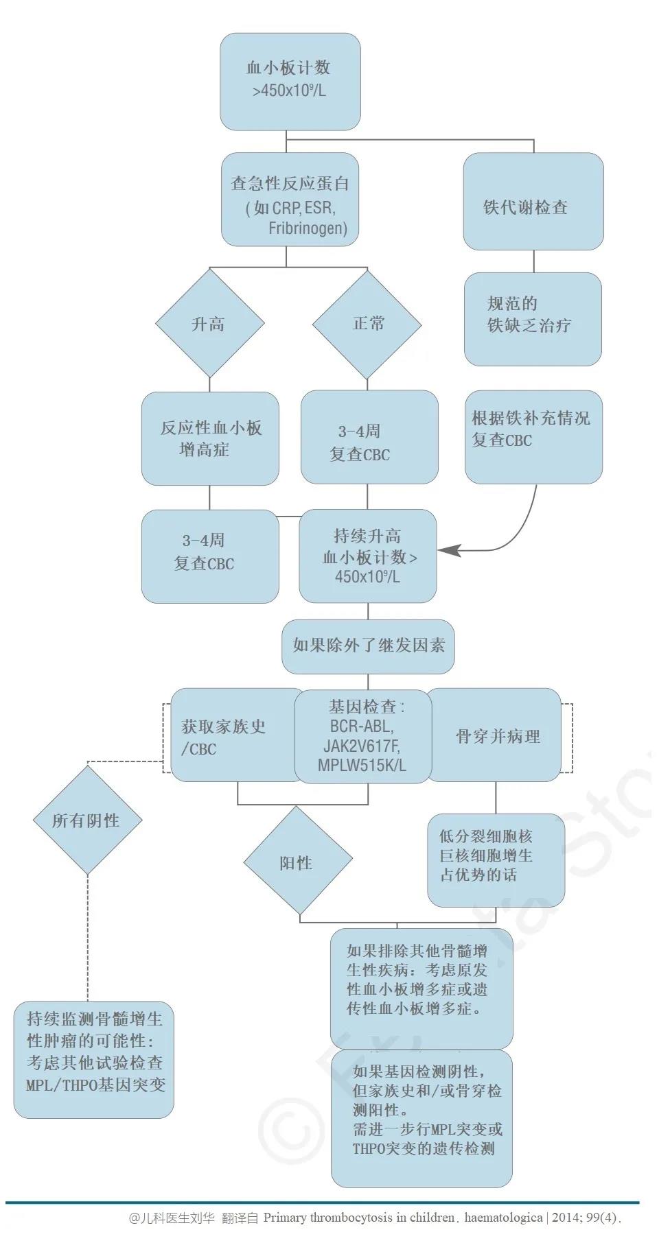 鷢ѪС࣬ô죿